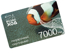 Подарочный сертификат СПА-Вездеход 7000